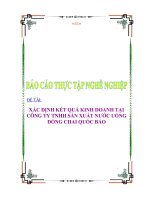 luận văn xác định kết quả kinh doanh tại công ty tnhh sản xuất nước đóng chai quốc bảo