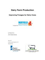Dairy Farm Production Improving Forages for Dairy Cows docx