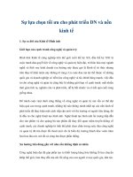 Sự lựa chọn tối ưu cho phát triển DN và nền kinh tế ppt