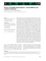 Báo cáo khoa học: Human anti-ErbB2 immunoagents – immunoRNases and compact antibodies pptx