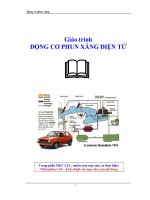Giáo trình động cơ phun xăng điện tử pdf