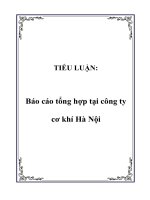 TIỂU LUẬN: Báo cáo tổng hợp tại công ty cơ khí Hà Nội pdf