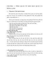 ÁN CHUYÊN NGÀNH KỸ THUẬT LẠN potx