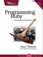 Programming Ruby 1.9 pptx