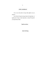 kiểm toán xác định giá trị doanh nghiệp tại việt nam