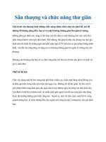 Sân thượng và chức năng thư giãn docx