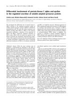 Báo cáo khoa học: Differential involvement of protein kinase C alpha and epsilon in the regulated secretion of soluble amyloid precursor protein docx