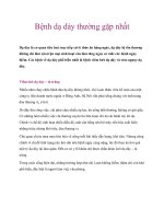 Bệnh dạ dày thường gặp nhất pot