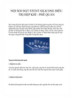 NỘI SOI ĐẶT STENT SILICONE ĐIỀU TRỊ HẸP KHÍ - PHẾ QUẢN pptx