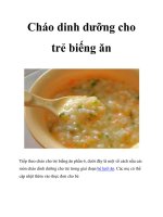 Cháo dinh dưỡng cho trẻ biếng ăn potx