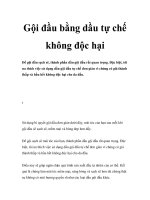 Gội đầu bằng dầu tự chế không độc hại pptx