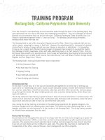 Training Program mustang Daily- Californa Polytechnic State University potx