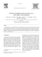 Growth of amorphous silicon nanowires via a solid–liquid–solid mechanism