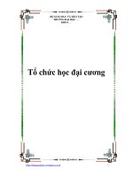Tổ chức học đại cương doc