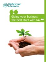 Giving your business the best start with tax pot