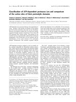 Báo cáo khoa học: Classiﬁcation of ATP-dependent proteases Lon and comparison of the active sites of their proteolytic domains pdf