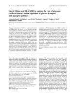 Báo cáo khoa học: Use of lithium and SB-415286 to explore the role of glycogen synthase kinase-3 in the regulation of glucose transport and glycogen synthase pdf