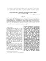 ẢNH HƯỞNG CỦA NHIỆT ĐỘ ĐẾN SỰ BIẾN ĐỔI SINH LÝ, HÓA SINH CỦA QUẢ CHUỐI TIÊU (MUSA AAA) TRONG THỜI GIAN BẢO QUẢN docx