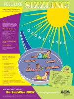 FEEL LIKE SIZZLING? pptx