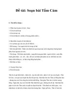 Ðề tài: Soạn bài Tấm Cám doc