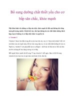 Bổ sung dưỡng chất thiết yếu cho cơ bắp săn chắc, khỏe mạnh pot