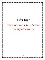 Tiểu luận: TÁI CẤU TRÚC ĐẦU TƯ CÔNG VÀ NỢ CÔNG Ở VN pot