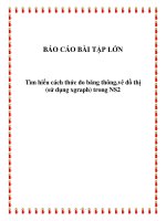 Tiểu luận:Tìm hiểu cách thức đo băng thông,vẽ đồ thị (sử dụng xgraph) trong NS2 pdf