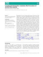 Báo cáo khoa học: Lysophosphatidylcholine modulates ﬁbril formation of amyloid beta peptide doc