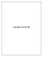 Làm Đẹp với Cây Phỉ potx