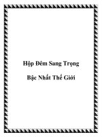 Hộp Đêm Sang Trọng Bậc Nhất Thế Giới doc