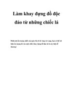 Làm khay đựng đồ độc đáo từ những chiếc lá docx