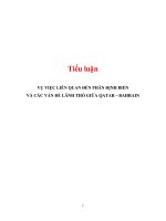 Tiểu luận: VỤ VIỆC LIÊN QUAN ĐẾN PHÂN ĐỊNH BIỂN VÀ CÁC VẤN ĐỀ LÃNH THỔ GIỮA QATAR – BAHRAIN pdf