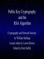 Public Key Cryptography and the RSA Algorithm pptx