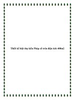 Thiết kế biệt thự kiểu Pháp cổ trên diện tích 400m2 ppt