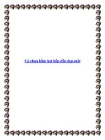 Cà chua hầm hạt hấp dẫn đẹp mắt pdf