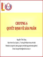 QUYẾT ĐỊNH VỀ SẢN PHẨM ppt
