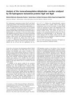 Báo cáo khoa học: Analysis of the transcarbamoylation-dehydration reaction catalyzed by the hydrogenase maturation proteins HypF and HypE pot