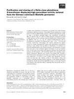 Báo cáo khoa học: Puriﬁcation and cloning of a Delta class glutathione S-transferase displaying high peroxidase activity isolated from the German cockroach Blattella germanica pptx