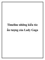 Timeline những kiểu tóc ấn tượng của Lady Gaga ppt