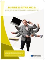BUSINESS DYNAMICS: START-UPS, BUSINESS TRANSFERS AND BANKRUPTCY ppt