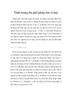 Tình trạng đa giải pháp âm vị học docx