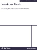 Investment Funds Provided by RBS Collective Investment Funds Limited pptx