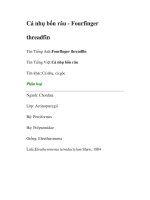 Cá nhụ bốn râu - Fourfinger threadfin docx