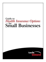 Guide to Health Insurance Options for Small Businesses ppt