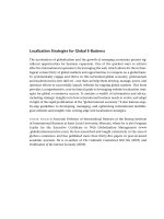 Localization Strategies for Global E-Business docx