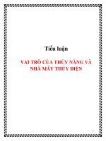 Vai trò của thủy năng và nhà máy thủy điện