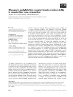 Báo cáo khoa học: Changes in acetylcholine receptor function induce shifts in muscle ﬁber type composition docx
