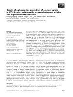 Báo cáo khoa học: Casein phosphopeptide promotion of calcium uptake in HT-29 cells ) relationship between biological activity and supramolecular structure ppt