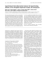 Báo cáo Y học: Ligand-induced heterodimerization between the ligand binding domains of the Drosophila ecdysteroid receptor and ultraspiracle docx