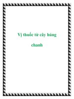 Vị thuốc từ cây húng chanh pot